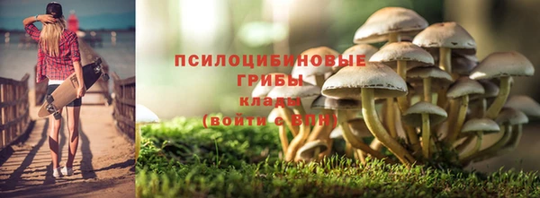 индика Абдулино