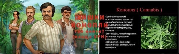 стафф Абаза