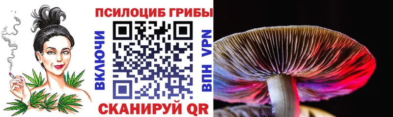 blacksprut вход  Елизово  даркнет как зайти  Псилоцибиновые грибы MAGIC MUSHROOMS 